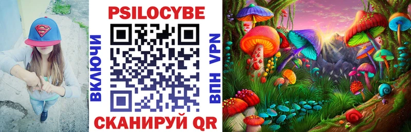 Псилоцибиновые грибы ЛСД  Купить  Богданович 